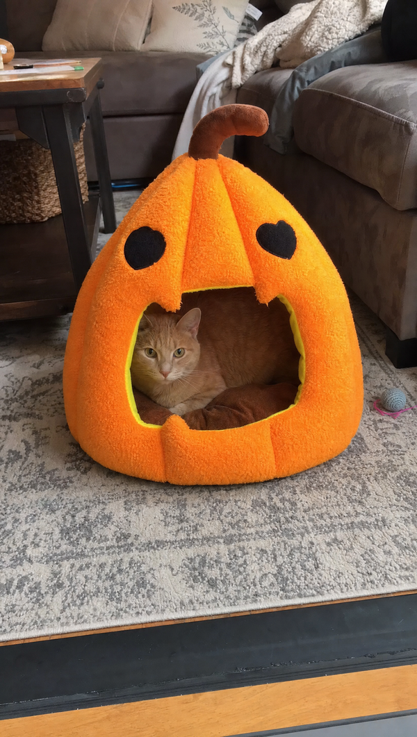 Even Cuter In Person
