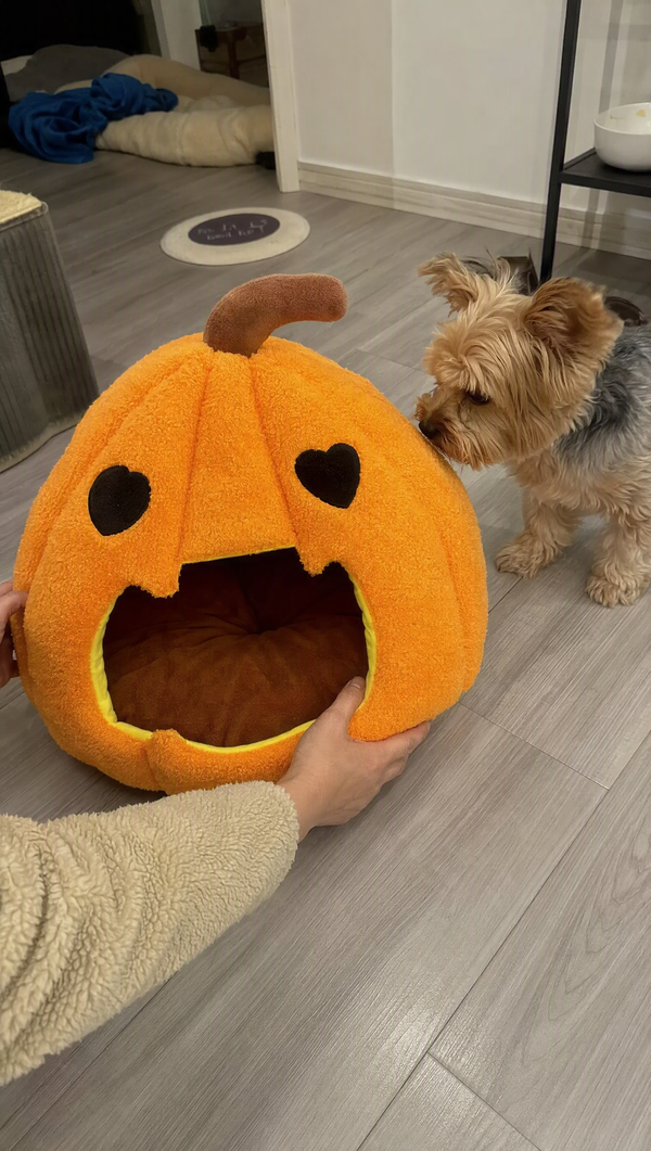 Halloween Will Be Extra Cute